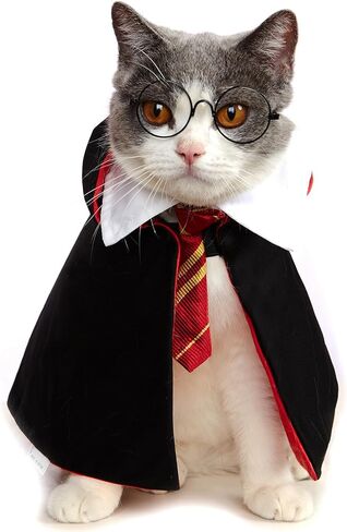 زي الهالوين للقطط، ملابس حيوانات أليفة مضحكة، ملابس تنكرية للكلاب الصغيرة، ملابس للقطط، قمصان للكلاب الصغيرة (M) in Kuwait