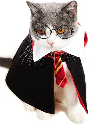 زي الهالوين للقطط، ملابس حيوانات أليفة مضحكة، ملابس تنكرية للكلاب الصغيرة، ملابس للقطط، قمصان للكلاب الصغيرة (M) in Kuwait