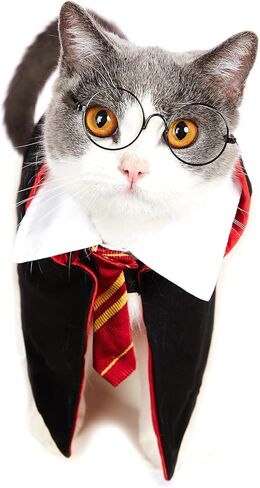 زي الهالوين للقطط، ملابس حيوانات أليفة مضحكة، ملابس تنكرية للكلاب الصغيرة، ملابس للقطط، قمصان للكلاب الصغيرة (M) in Kuwait