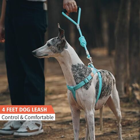 مقود للكلاب بطول 4 أقدام مع مقبض مبطن مريح للكلاب الصغيرة والمتوسطة والكبيرة والجرو Laisse Pour Chien (4FT-0.28 بوصة (عبوة من قطعة واحدة) وردي S) in Kuwait