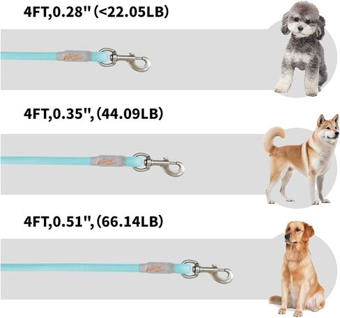 مقود للكلاب بطول 4 أقدام مع مقبض مبطن مريح للكلاب الصغيرة والمتوسطة والكبيرة والجرو Laisse Pour Chien (4FT-0.28 بوصة (عبوة من قطعة واحدة) وردي S) in Kuwait