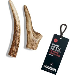 Dog CHEW Made of RED Deer Antlers Small