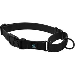 Max and Neo Waterproof Martingale Dog Collar - We Donate a Collar to a Dog Rescue for Every Collar Sold (Medium, Blue)