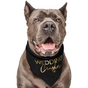 Wedding Crasher Wedding Engagement Metallic Printed Dog Bandana (White, OS Gold Foil 1)