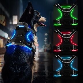 Blue (LED) Light Dog Harness | Dog Harness Medium Sized Dog | Light Up Dog Harness | Soft Handle | Rechargeable, Lighted Dog Collars for Night | Glow in The Dark Dog Collar | Blue - Small
