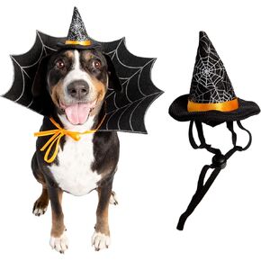 Pet Krewe Halloween Witch Hat and Collar Dog Costume & Cat Costume - Fits Small & Medium Dogs and Cats - Perfect for Parties, Birthdays, Photoshoots, and Gifts for Dog & Cat Lovers (Small & Medium)