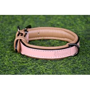 Dog Collar for Small Medium Large Dog - Stylish Leather Soft Padded Dog Collar | Classic Soft Padded Leather Pet Collar (Size - L) Fits Neck 18, 19, 20 & 21 inches