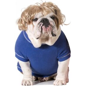 Funny Cosplay Wig for Dog, Headwear Apparel, Pet Costumes, Cat Dress up for Halloween, Christmas, Parties, Festivals (Golden Straight Hair)