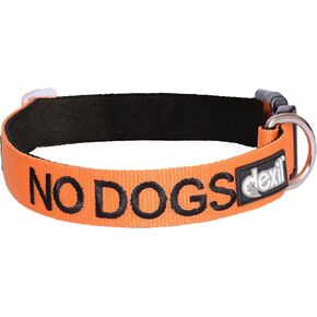 NO Dogs (Not Good with Other Dogs) Orange Colour Coded S-M L-XL Dog Collars Prevents Accidents by Warning Others of Your Dog in Advance (L-XL)