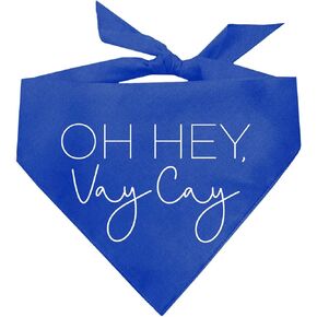 Oh Hey, Vay Cay Vacation Dog Bandana (Hot Pink, OS 1120)