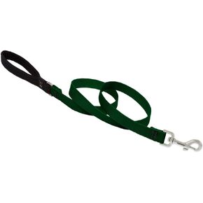 Dog Leash by Lupine in 3/4" Wide Green 6-Foot Long with Padded Handle