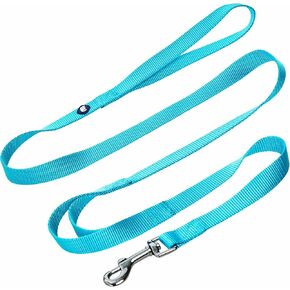 Blueberry Pet Essentials Double Handle Dog Leash for Traffic Control | 4ft. x 1" Large Dog Leash | Classic Dog Leash with Two Handles for Dogs That Pull | Nylon 2 Handle Dog Leash in Turquoise