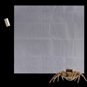 1 Pcs Jumping Spider Climbing Net Enclosure Accessories with 10 Pcs Magnet for Tarantula Insect Praying Mantis Jumping Spider Stick Insect (19.6" L, 19.6" W)
