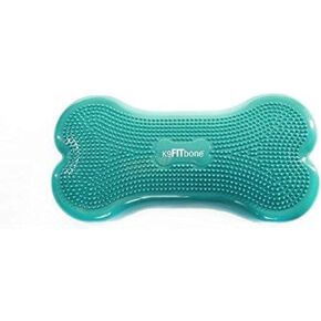 FitPaws® K9FITbone® - Regular, Aqua | Dog Balance Training Platform & Exercise Equipment | Workout Tool for Strength, Core & Stability