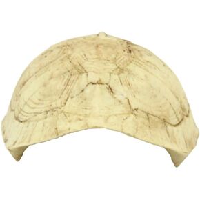 FOMIYES 1pc Reptile Rest Cave Turtle Shell Resin Reptile Hide Cave Turtle Shell Cave Reptile Cave Lizard