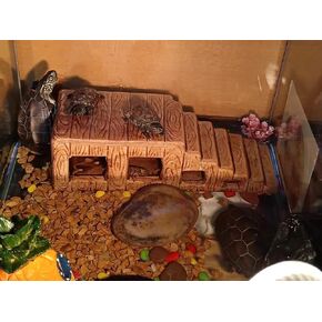 منصة تشمس السلحفاة، كهف إخفاء الزواحف الخزفية، زخارف تزيين المناظر الطبيعية لمنزل الأسماك في حوض السمك، ديكور الصخور، إكسسوارات زخارف السيراميك in Kuwait