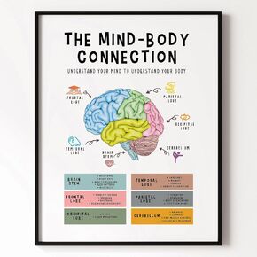 Mind Body Connection Poster, Therapy Office Decor, Brain Parts, Human Brain Anatomy Print, Stress Management, School Psychologist School Counselor, Classroom Wall Decor (8x10 inch Print Unframed)