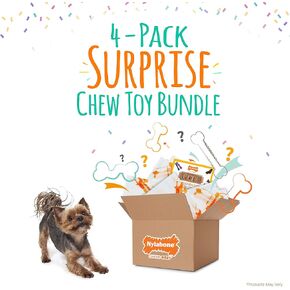 Nylabone Chew Toy Dog Surprise Box Variety X-Small/Petite (1 Count) All Breed Sizes