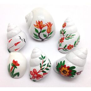 PEPPERLONELY 6 PC Assorted Painted Hermit Crab Shells in Flower Designs, Beach Crafts Coastal Décor, 1 Inch ~ 2 Inch