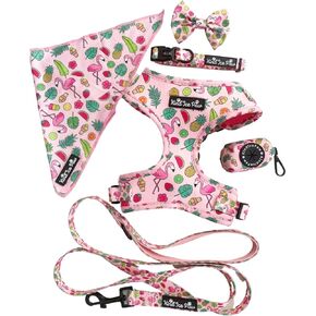 Dog Full Set Collection Harness, Leash, Collar, Bowtie, Poop Bag Holder and Bandana Kind'Ice paw Collection (S, La Vie en Rose Set)