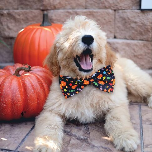 Huxley & Kent Bow Tie for Pets | Candy Corn (Large) | Halloween Bow Tie Collar Attachment | Fun Bow Ties for Dogs & Cats | Cute, Comfortable, and Durable | H&K Bow Tie in Saudi Arabia