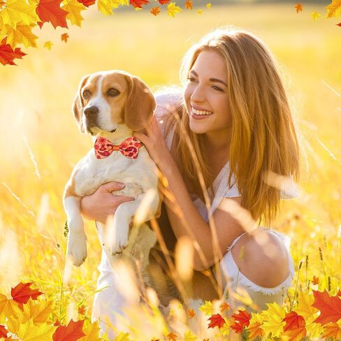 Sadnyy 60 Pcs Christmas Dog Bows for Dogs Christmas Dog Collars Adjustable Santa Claus Snowman Dog Bowtie Collar Includes 24 Pet Neck Ties and 24 Bowties 12 Pet Bowknot Set for Pet Grooming in Kuwait