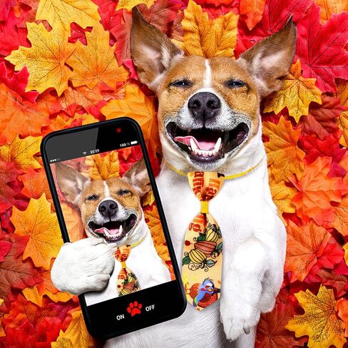 Sadnyy 60 Pcs Christmas Dog Bows for Dogs Christmas Dog Collars Adjustable Santa Claus Snowman Dog Bowtie Collar Includes 24 Pet Neck Ties and 24 Bowties 12 Pet Bowknot Set for Pet Grooming in Kuwait