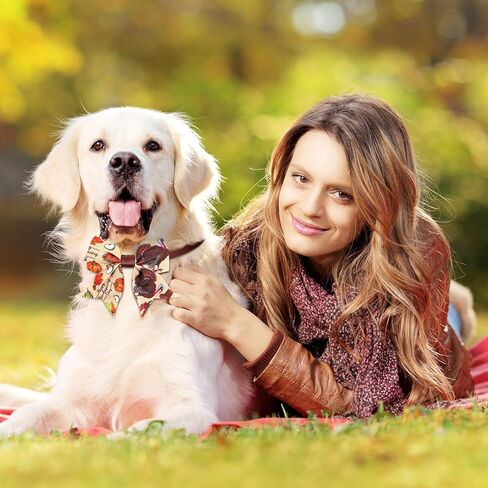 Sadnyy 60 Pcs Christmas Dog Bows for Dogs Christmas Dog Collars Adjustable Santa Claus Snowman Dog Bowtie Collar Includes 24 Pet Neck Ties and 24 Bowties 12 Pet Bowknot Set for Pet Grooming in Kuwait