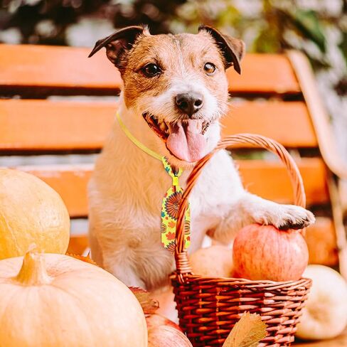 Sadnyy 60 Pcs Christmas Dog Bows for Dogs Christmas Dog Collars Adjustable Santa Claus Snowman Dog Bowtie Collar Includes 24 Pet Neck Ties and 24 Bowties 12 Pet Bowknot Set for Pet Grooming in Kuwait