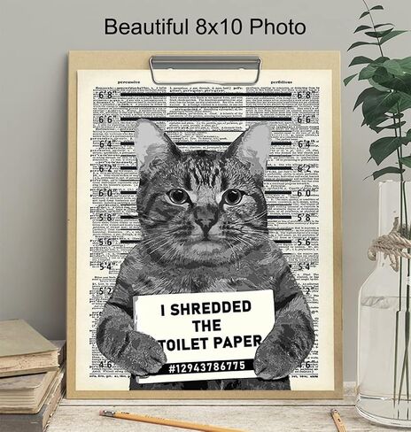 Guilty Cat Wall Decor - Cat Wall Art - Dictionary Art - 8x10 Humorous Poster, Mugshot Wall Art or Home Decoration for Bathroom, Bath - Funny Gag Gift for Cat Lovers - Upcycled Picture Photo Print in Saudi Arabia