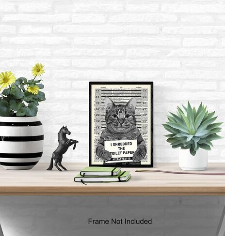 Guilty Cat Wall Decor - Cat Wall Art - Dictionary Art - 8x10 Humorous Poster, Mugshot Wall Art or Home Decoration for Bathroom, Bath - Funny Gag Gift for Cat Lovers - Upcycled Picture Photo Print in Saudi Arabia