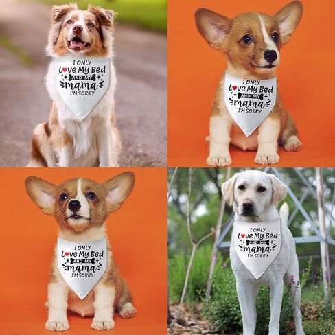 I Only Love My Bed and My Mama I'm Sorry Dog Bandana Funny Dog Bandana for Dogs Puppy Bandana Triangle Bibs Scarf Accessories for Small Medium Dogs Pets in Kuwait
