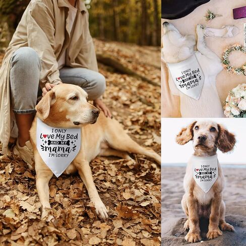 I Only Love My Bed and My Mama I'm Sorry Dog Bandana Funny Dog Bandana for Dogs Puppy Bandana Triangle Bibs Scarf Accessories for Small Medium Dogs Pets in Kuwait