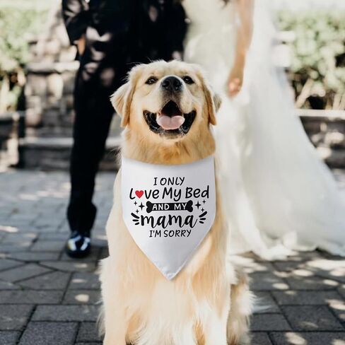I Only Love My Bed and My Mama I'm Sorry Dog Bandana Funny Dog Bandana for Dogs Puppy Bandana Triangle Bibs Scarf Accessories for Small Medium Dogs Pets in Kuwait