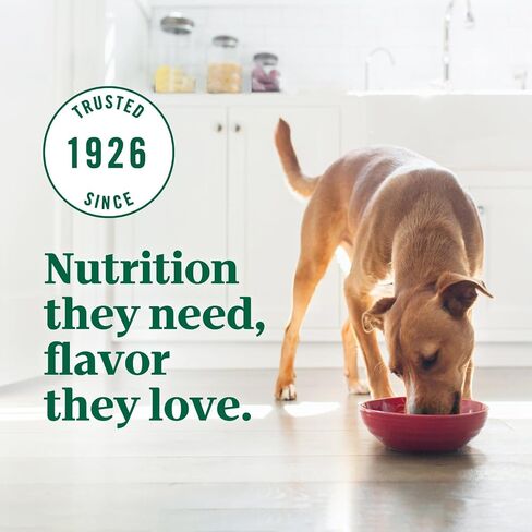 Nutro Ultra Senior Dry Dog Food with a Trio of Proteins from Chicken, Lamb and Salmon, 24 lb. Bag in Kuwait