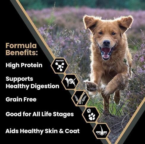 Victor Super Premium Dog Food – Grain Free Ultra Pro Dry Dog Food – High Protein, Low Carb Dog Food for Active Dogs – 42% Protein Dog Food for Sporting Dogs of All Breeds & Sizes, 5 lb in Saudi Arabia