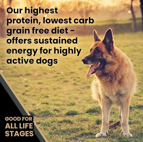 Victor Super Premium Dog Food – Grain Free Ultra Pro Dry Dog Food – High Protein, Low Carb Dog Food for Active Dogs – 42% Protein Dog Food for Sporting Dogs of All Breeds & Sizes, 5 lb in Saudi Arabia