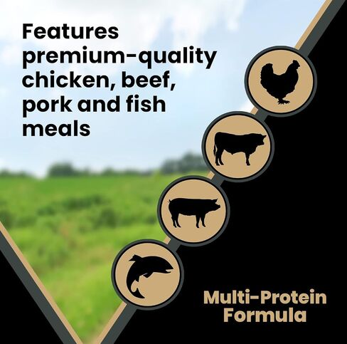 Victor Super Premium Dog Food – Grain Free Ultra Pro Dry Dog Food – High Protein, Low Carb Dog Food for Active Dogs – 42% Protein Dog Food for Sporting Dogs of All Breeds & Sizes, 5 lb in Saudi Arabia