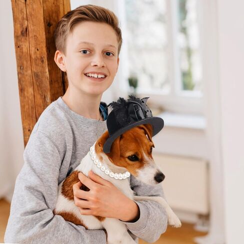 Pet Fascinators Hat Formal Top Hat Costume Set Pet Mesh Feather Fascinator Veil Kentucky Derby Hat with Pet Pearl Collar for Christmas Weeding Photo Props Party (Pink) in Kuwait