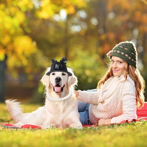 Pet Fascinators Hat Formal Top Hat Costume Set Pet Mesh Feather Fascinator Veil Kentucky Derby Hat with Pet Pearl Collar for Christmas Weeding Photo Props Party (Pink) in Kuwait