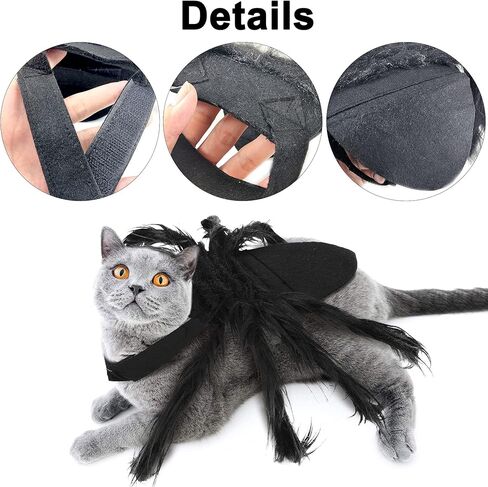 زي العنكبوت للقطط والكلاب لتزيين حفلات الهالوين، أزياء عنكبوت ديكور الهالوين التنكرية للكلاب والقطط الصغيرة، أزياء الجرو لحفلات الأعياد وإكسسوارات الشعر المزخرفة بالفراء in Kuwait