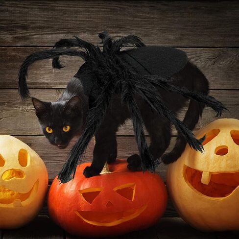 زي العنكبوت للقطط والكلاب لتزيين حفلات الهالوين، أزياء عنكبوت ديكور الهالوين التنكرية للكلاب والقطط الصغيرة، أزياء الجرو لحفلات الأعياد وإكسسوارات الشعر المزخرفة بالفراء in Kuwait