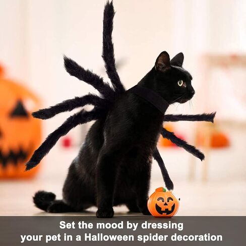 زي العنكبوت للقطط والكلاب لتزيين حفلات الهالوين، أزياء عنكبوت ديكور الهالوين التنكرية للكلاب والقطط الصغيرة، أزياء الجرو لحفلات الأعياد وإكسسوارات الشعر المزخرفة بالفراء in Kuwait