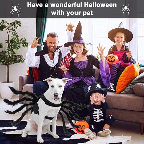 زي العنكبوت للقطط والكلاب لتزيين حفلات الهالوين، أزياء عنكبوت ديكور الهالوين التنكرية للكلاب والقطط الصغيرة، أزياء الجرو لحفلات الأعياد وإكسسوارات الشعر المزخرفة بالفراء in Kuwait