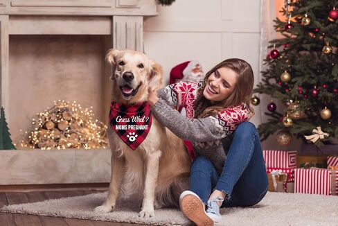 إعلان حمل كلب أليف منقوش باللون الأحمر المضحك، باندانا مثلثة، خمن ماذا؟ أمي حامل، ملحقات زينة وشاح الحيوانات الأليفة، أوشحة الحيوانات الأليفة، هدية لمحبي الكلاب، صورة تكشف عن الجنس in Kuwait