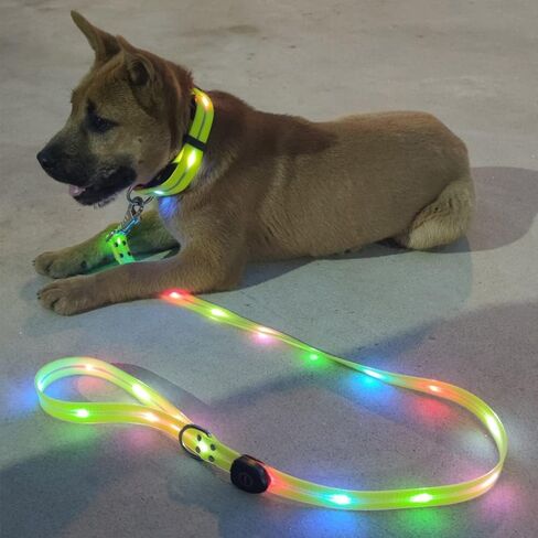 مقود كلب مضاء بإضاءة LED متعدد الألوان بمنفذ USB للشحن، مقود كلب مضاء بمقبض مطاطي، لأصحاب الكلاب لحمله. سهل الاستخدام، ما عليك سوى ربطه بالطوق والمشي مع كلبك. in Saudi Arabia