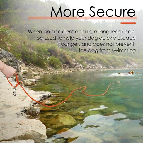 مقود ثينك بت نايلون للكلاب بمقبض، مشبكين معدنيين على شكل حرف D بطول 66 قدم، مقود خفيف الوزن طويل للغاية للكلاب والقطط الصغيرة والمتوسطة الحجم، برتقالي in Kuwait
