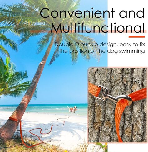 مقود ثينك بت نايلون للكلاب بمقبض، مشبكين معدنيين على شكل حرف D بطول 66 قدم، مقود خفيف الوزن طويل للغاية للكلاب والقطط الصغيرة والمتوسطة الحجم، برتقالي in Kuwait