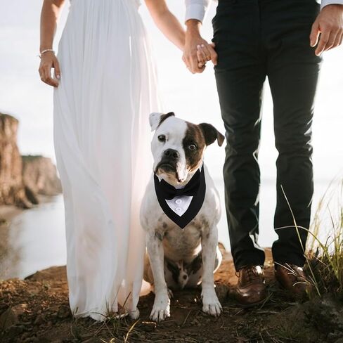 Dog Tuxedo,Formal Dog Tuxedo Adjustable Pet Collar with Bow, Dog Wedding Bandana,Adjustable Dog Tux Formal Dog Costumes for Small Medium Dogs Pets in Kuwait