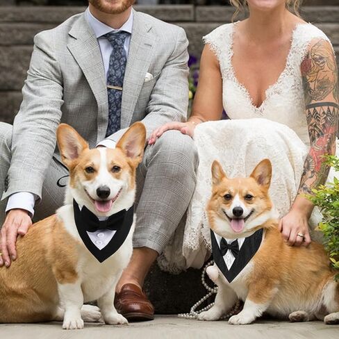 Dog Tuxedo,Formal Dog Tuxedo Adjustable Pet Collar with Bow, Dog Wedding Bandana,Adjustable Dog Tux Formal Dog Costumes for Small Medium Dogs Pets in Kuwait
